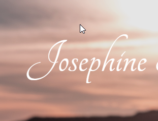 Josephine Hundesalon